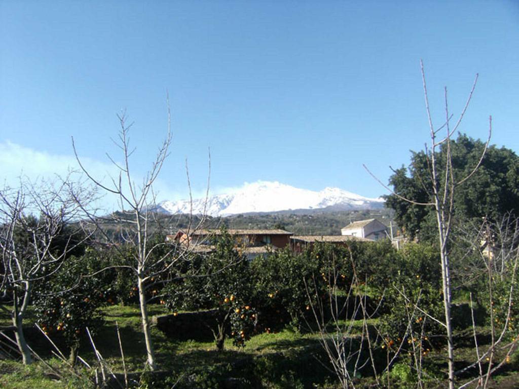 Baglio Delle Rose Bed & Breakfast Giarre Exterior photo